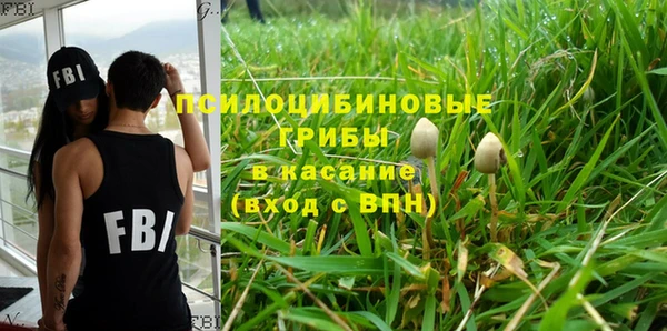 твердый Алексеевка