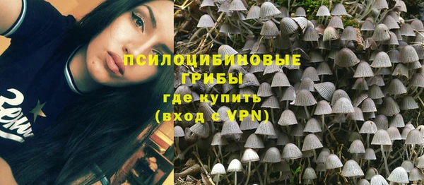 крисы Абаза