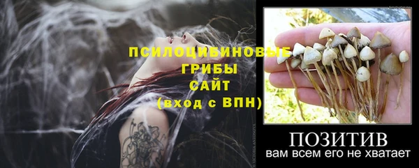 твердый Алексеевка