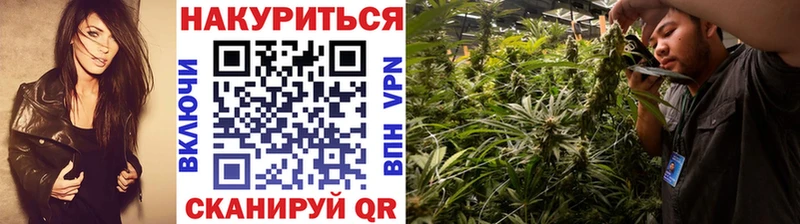 Бошки Шишки MAZAR  Северодвинск 